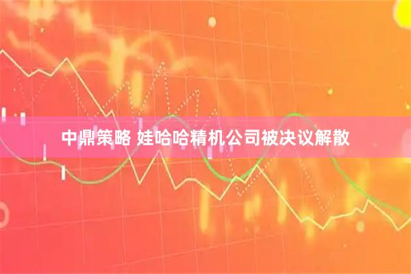 中鼎策略 娃哈哈精机公司被决议解散