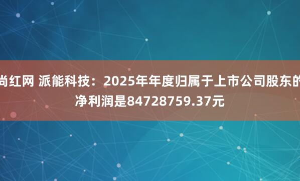 尚红网 派能科技：2025年年度归属于上市公司股东的净利润是84728759.37元