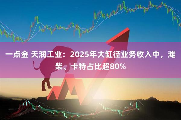一点金 天润工业：2025年大缸径业务收入中，潍柴、卡特占比超80%