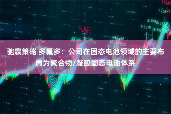 驰赢策略 多氟多：公司在固态电池领域的主要布局为聚合物/凝胶固态电池体系