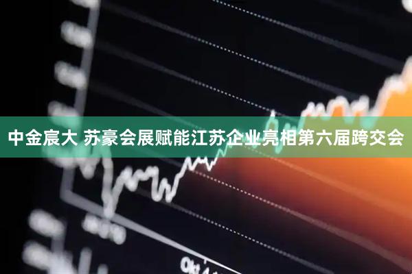 中金宸大 苏豪会展赋能江苏企业亮相第六届跨交会