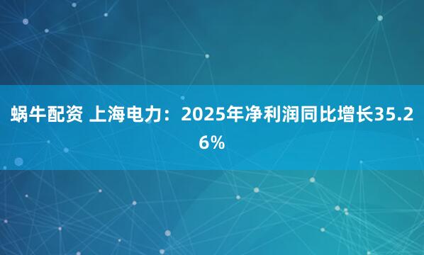 蜗牛配资 上海电力：2025年净利润同比增长35.26%