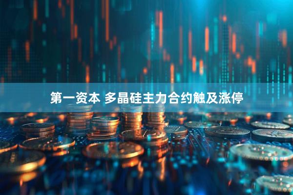 第一资本 多晶硅主力合约触及涨停