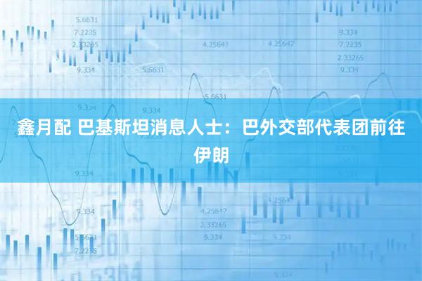 鑫月配 巴基斯坦消息人士：巴外交部代表团前往伊朗