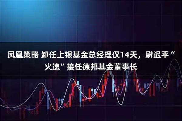 凤凰策略 卸任上银基金总经理仅14天，尉迟平“火速”接任德邦基金董事长