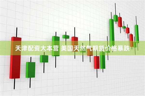 天津配资大本营 美国天然气期货价格暴跌
