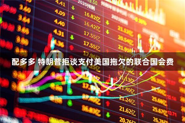 配多多 特朗普拒谈支付美国拖欠的联合国会费