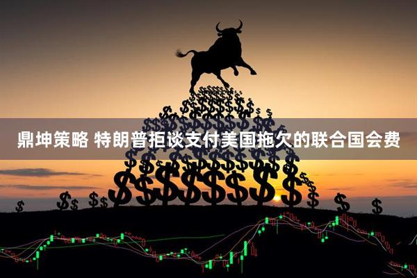 鼎坤策略 特朗普拒谈支付美国拖欠的联合国会费