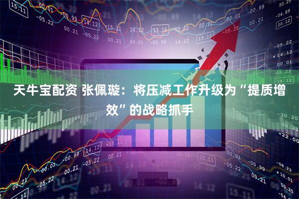 天牛宝配资 张佩璇：将压减工作升级为“提质增效”的战略抓手