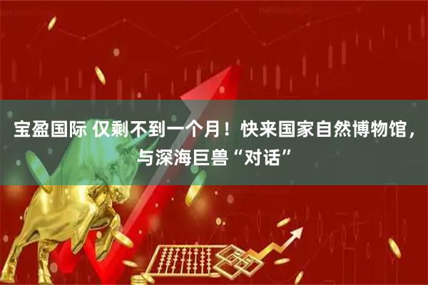 宝盈国际 仅剩不到一个月！快来国家自然博物馆，与深海巨兽“对话”