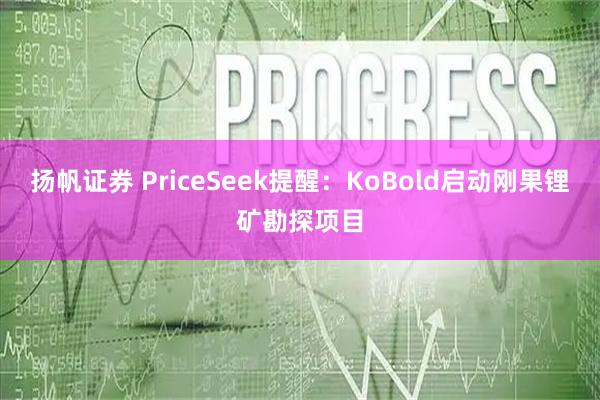 扬帆证券 PriceSeek提醒：KoBold启动刚果锂矿勘探项目