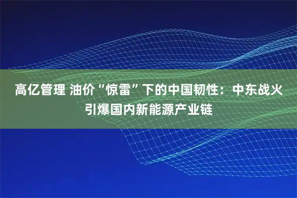 高亿管理 油价“惊雷”下的中国韧性：中东战火引爆国内新能源产业链