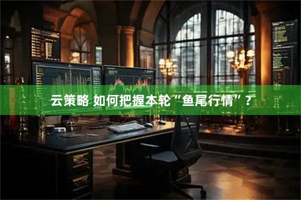 云策略 如何把握本轮“鱼尾行情”？