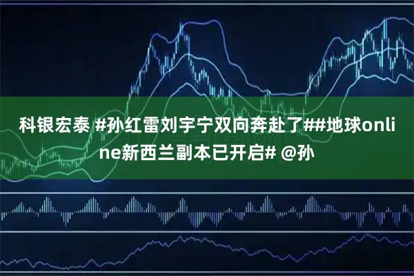 科银宏泰 #孙红雷刘宇宁双向奔赴了##地球online新西兰副本已开启# @孙