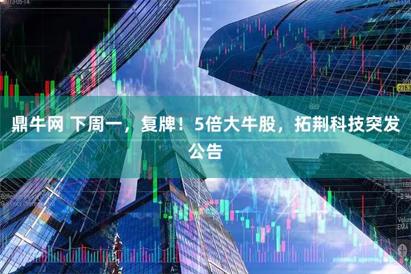 鼎牛网 下周一，复牌！5倍大牛股，拓荆科技突发公告