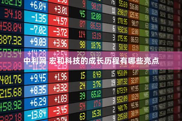 中利网 宏和科技的成长历程有哪些亮点